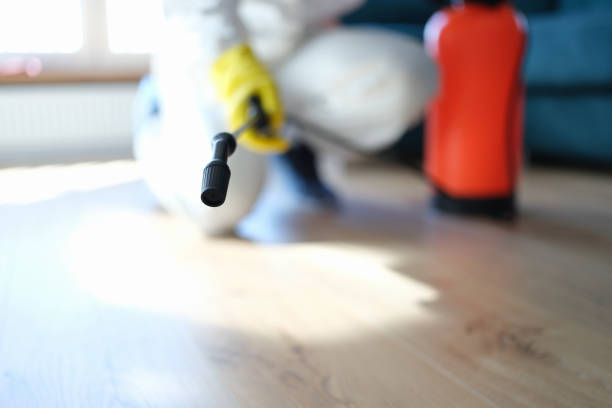 Best Water Damage & Mold Remediation  in Cohoes, NY