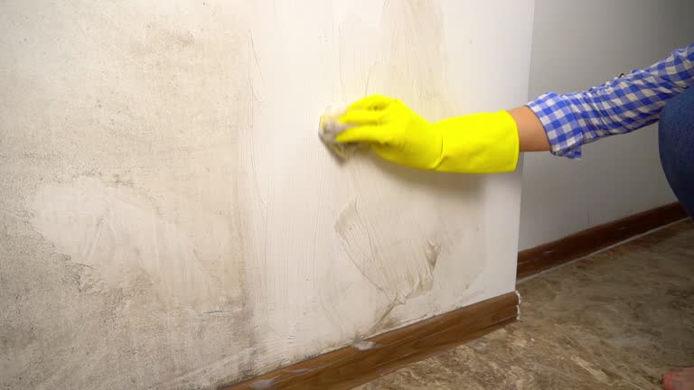 Best Residential Mold Inspection & Testing  in Cohoes, NY